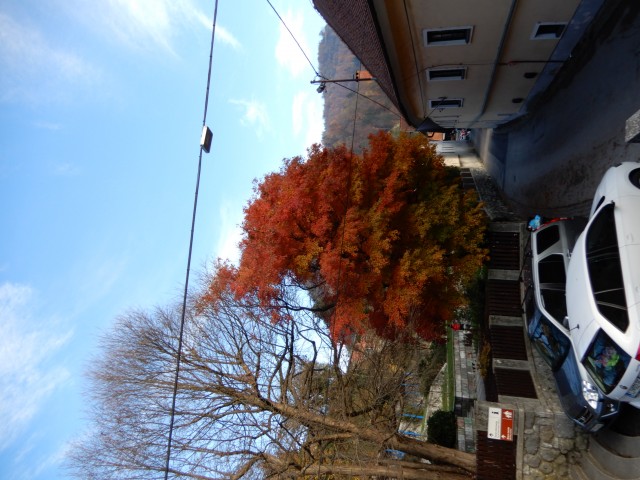 24. 11. 2022 - foto