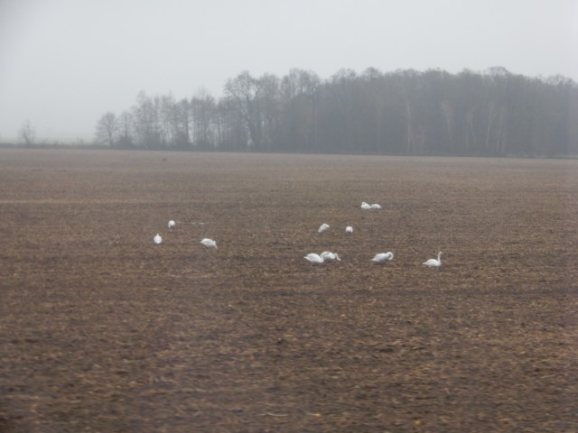 3. 12. 2022 - foto