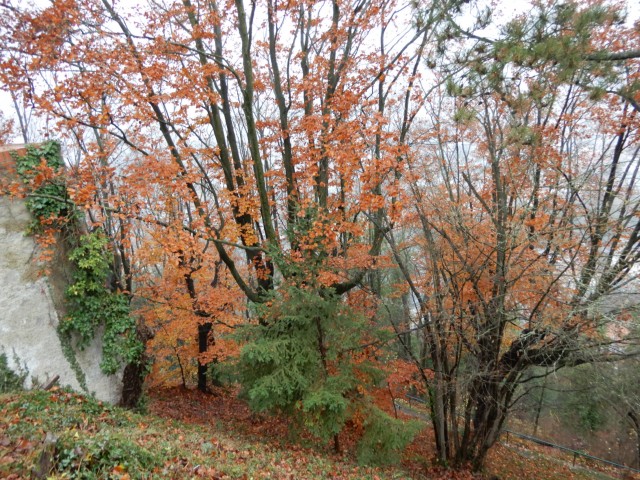 3. 12. 2022 - foto