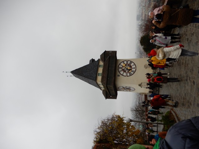 3. 12. 2022 - foto
