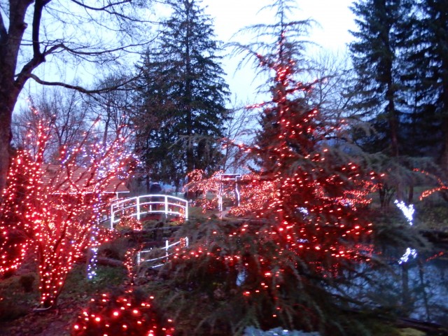 8. 12. 2022 - foto