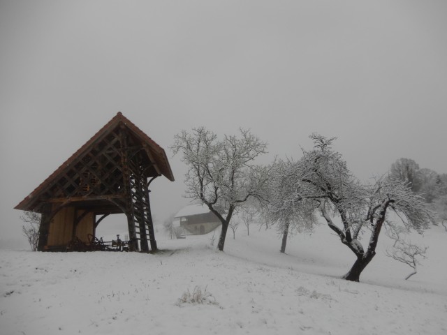 16. 1. 2023 - foto