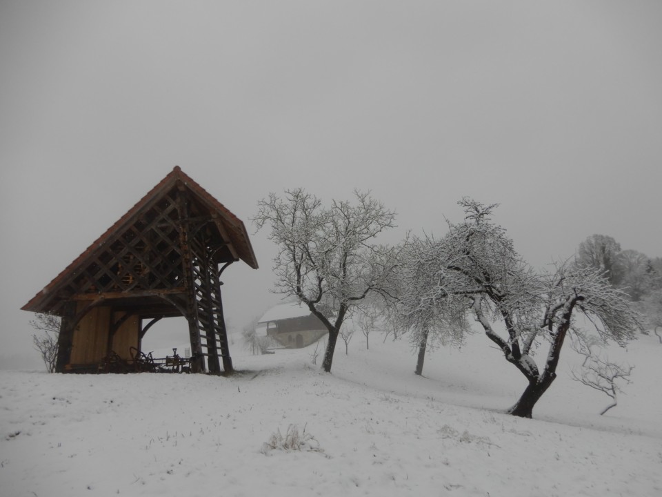 16. 1. 2023 - foto povečava