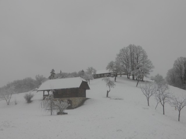 16. 1. 2023 - foto