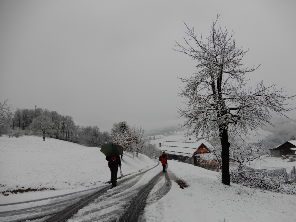 16. 1. 2023 - foto povečava