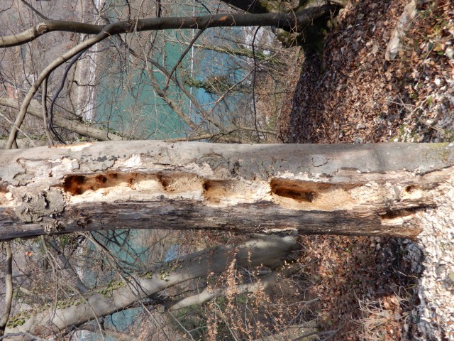 16. 2. 2023 - foto