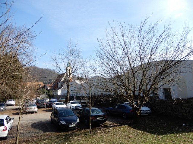 16. 2. 2023 - foto