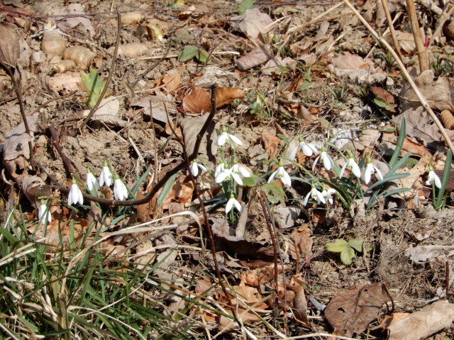 20. 2. 2023 - foto