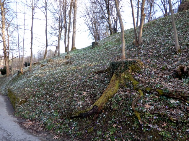 5. 3. 2023 - foto