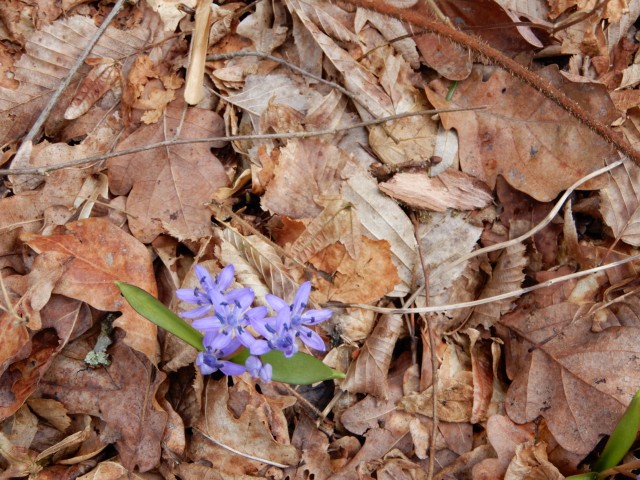 6. 3. 2023 - foto