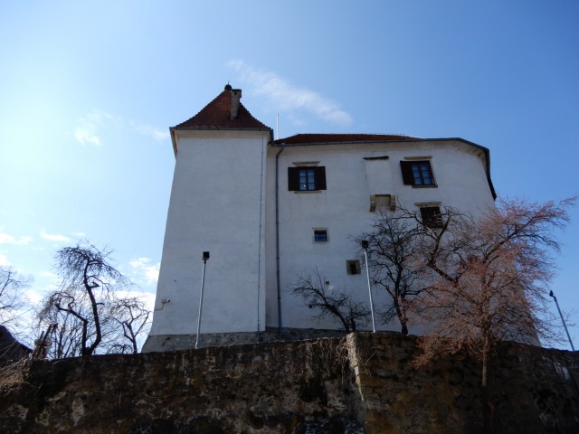 22.3.2023 - foto