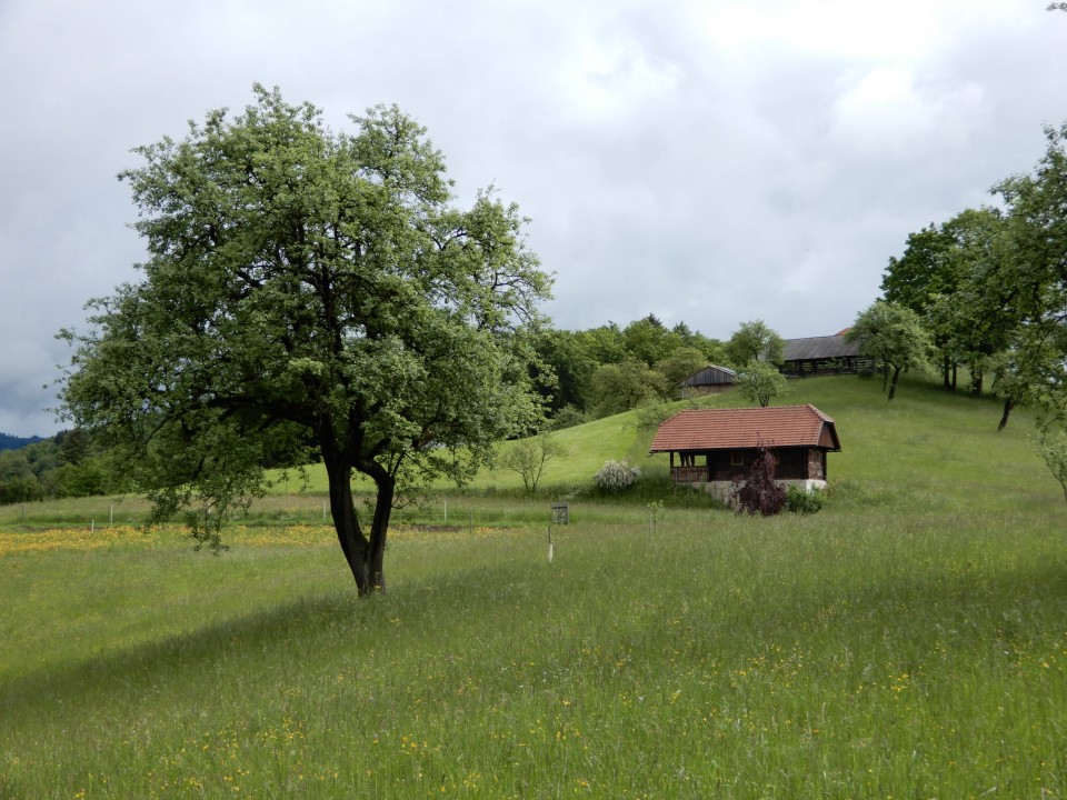 15. 5. 2023 - foto povečava