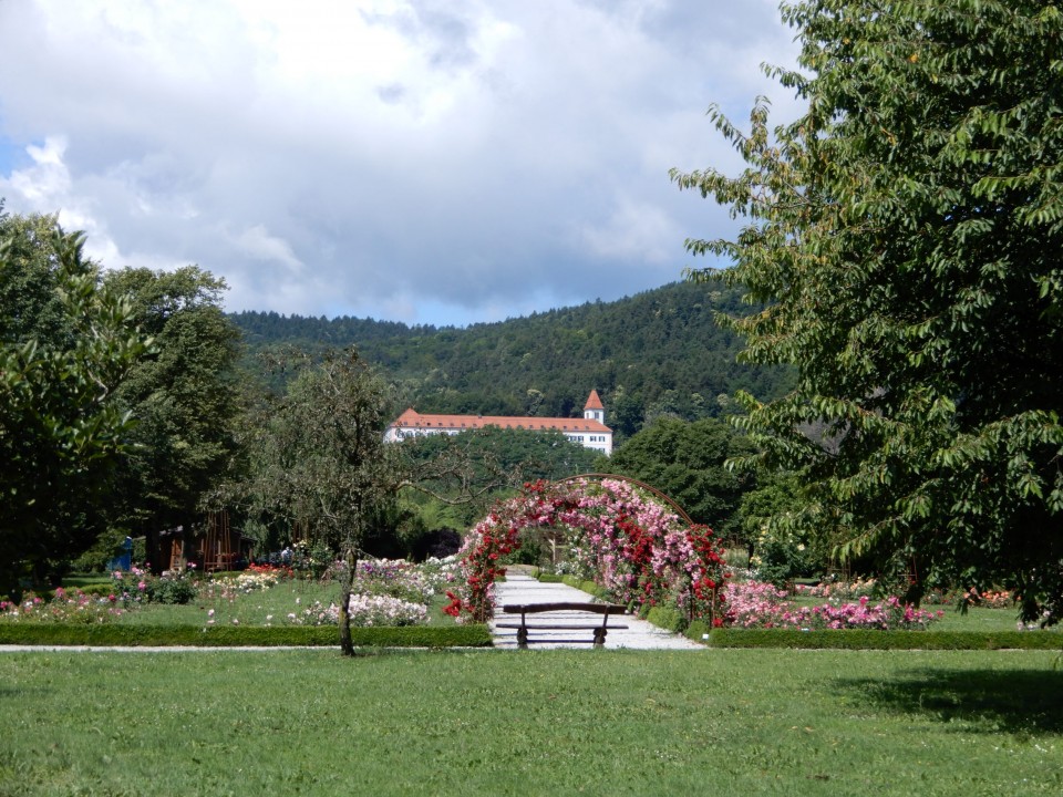 28. 6. 2023 - foto povečava