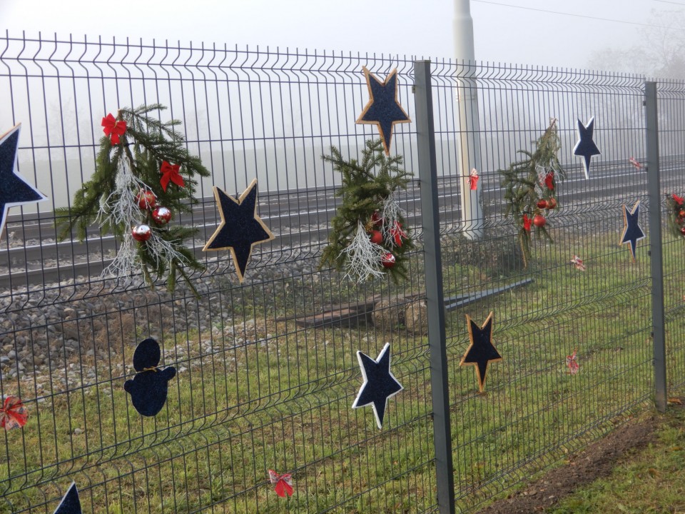 11. 12. 2023 - foto povečava