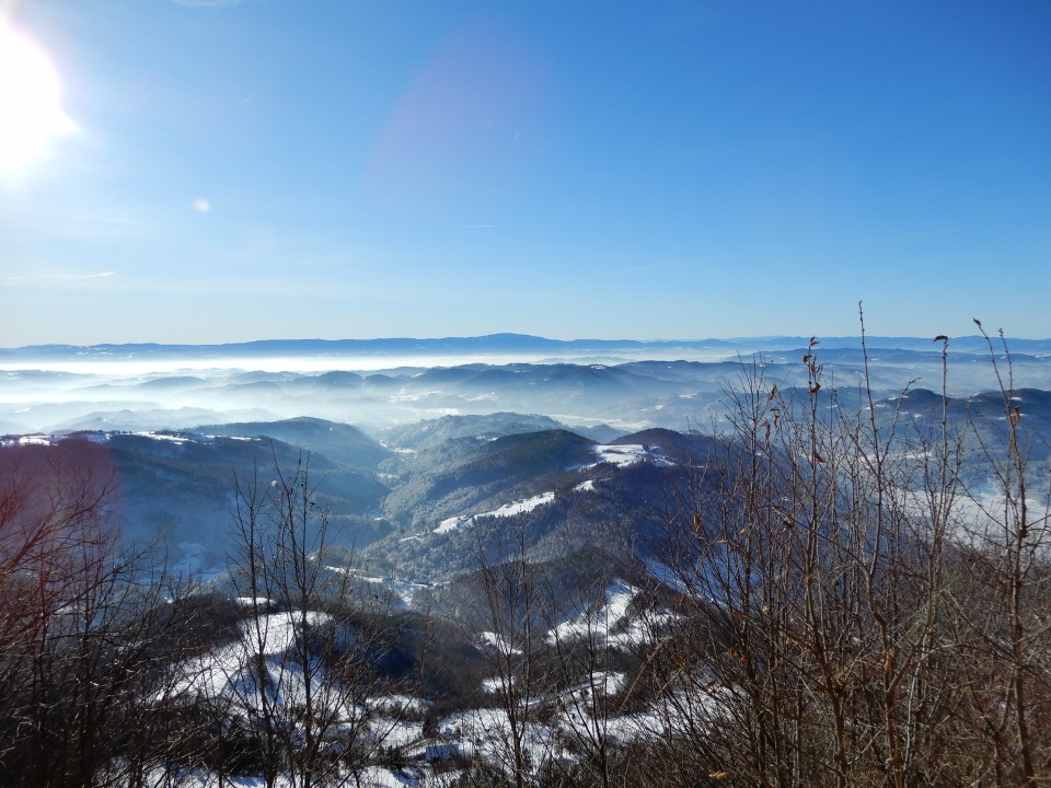 22. 1. 2024 - foto povečava