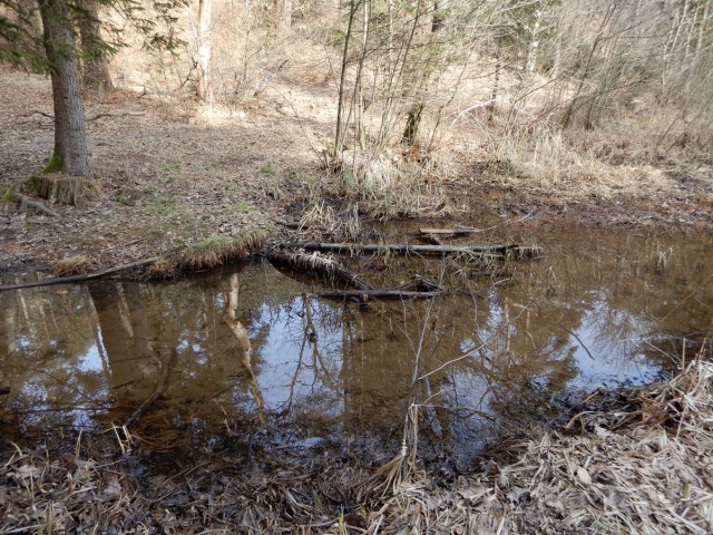 15. 2. 2024 - foto