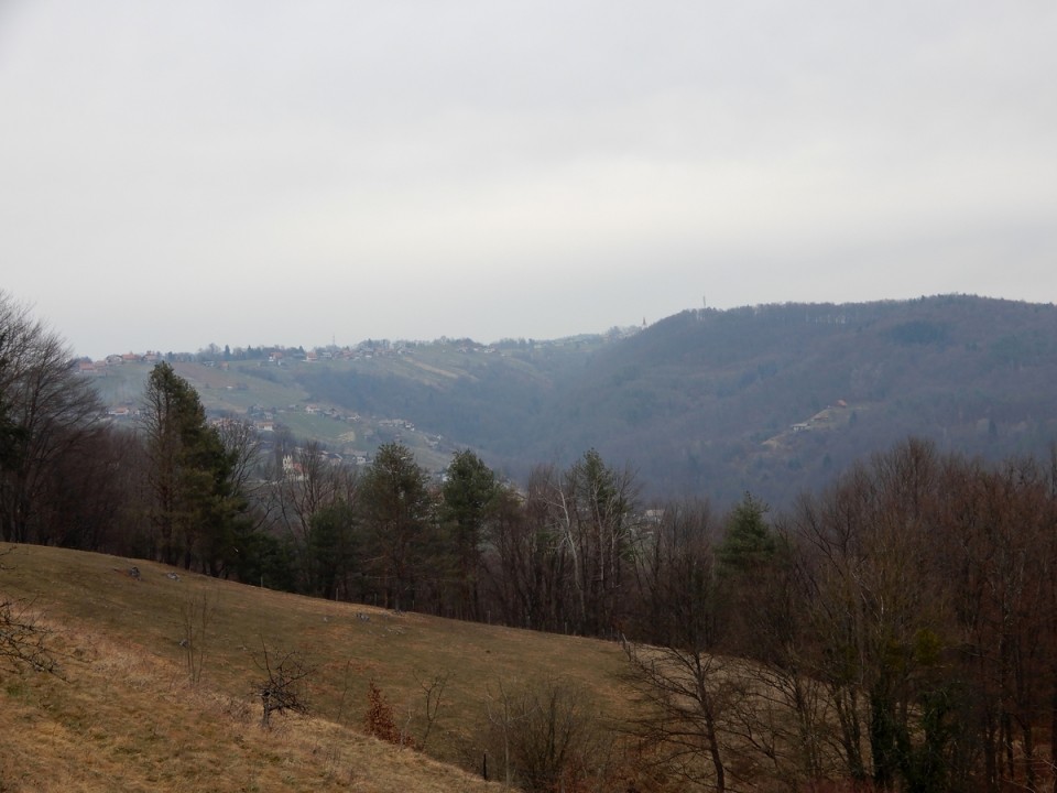 19. 2. 2024 - foto povečava