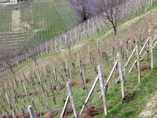 19. 2. 2024 - foto