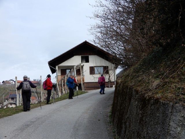 19. 2. 2024 - foto
