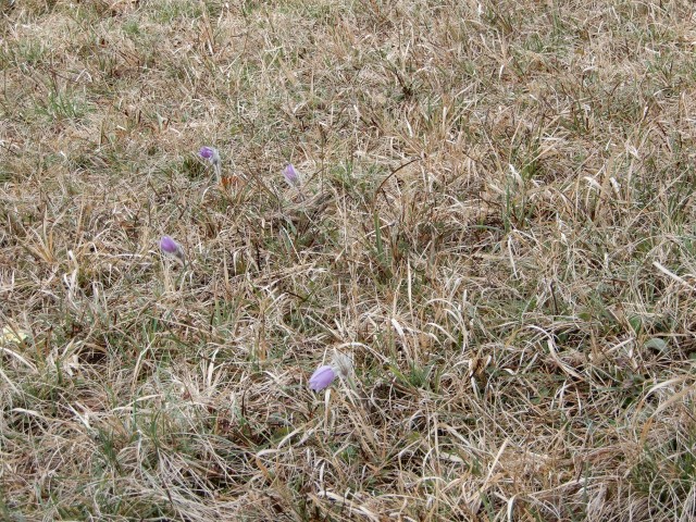 26. 2. 2024 - foto