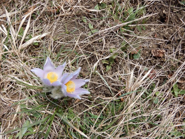 26. 2. 2024 - foto