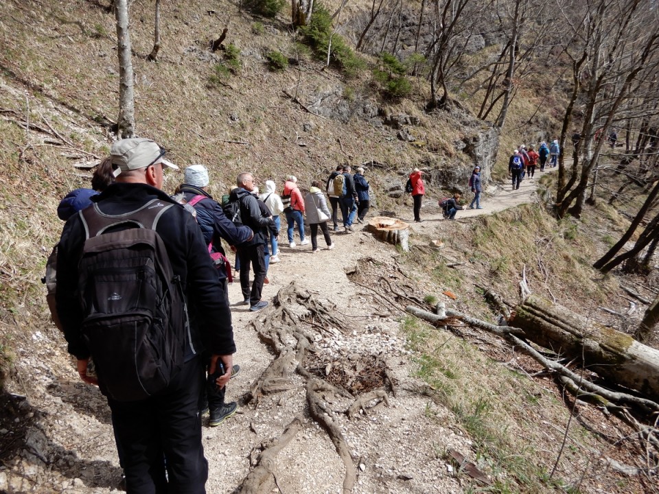 23. 3. 2024 - foto povečava