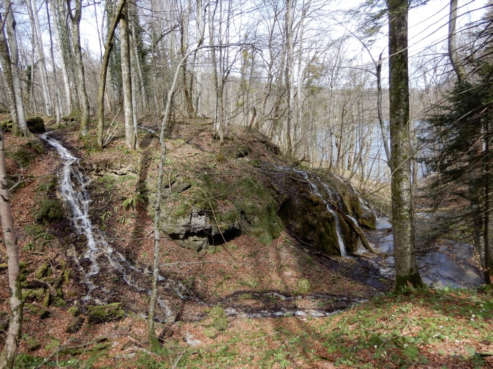 23. 3. 2024 - foto povečava