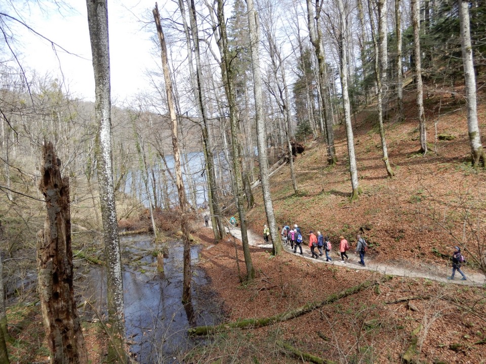 23. 3. 2024 - foto povečava