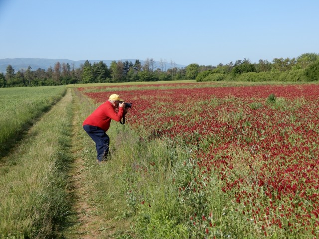 29. 4. 2024 - foto