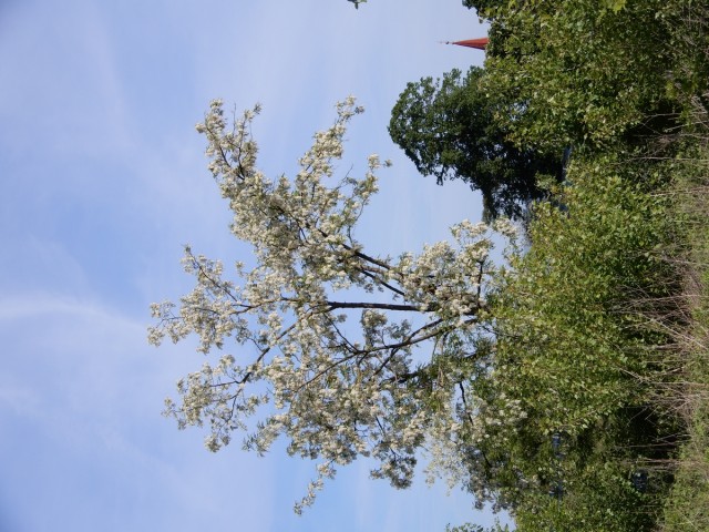 29. 4. 2024 - foto