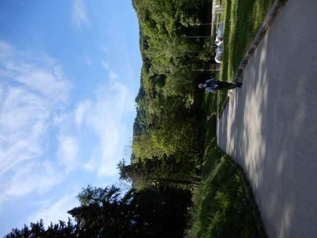 29. 4. 2024 - foto