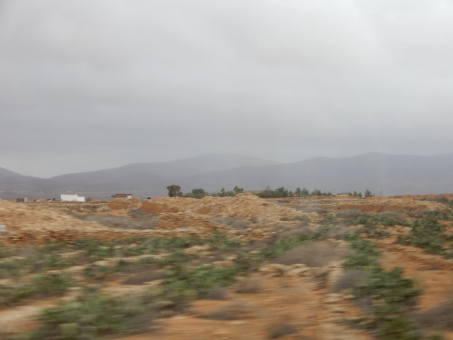31. 5. 2024 - foto