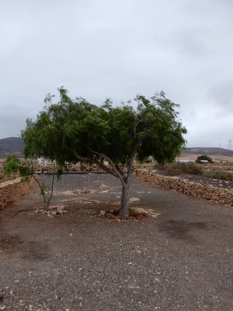 31. 5. 2024 - foto