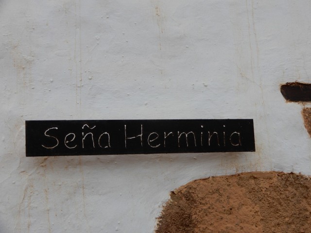 31. 5. 2024 - foto