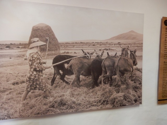 31. 5. 2024 - foto