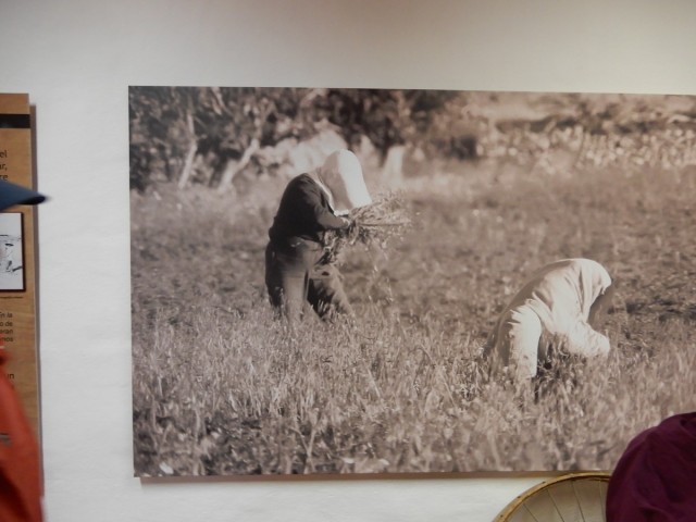 31. 5. 2024 - foto