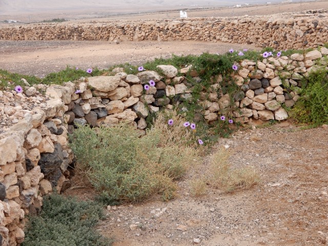31. 5. 2024 - foto