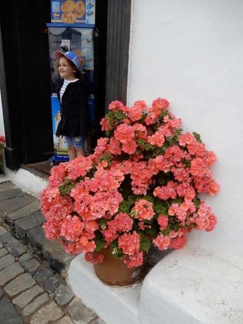 31. 5. 2024 - foto