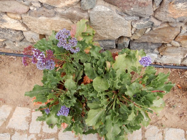 31. 5. 2024 - foto