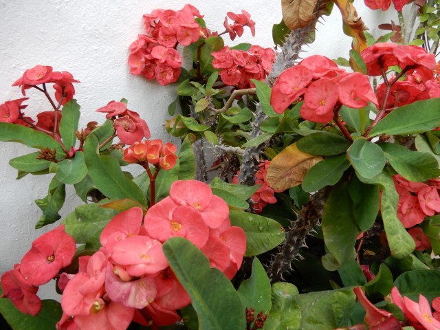 31. 5. 2024 - foto
