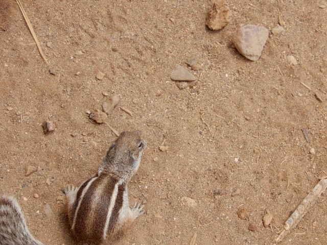 31. 5. 2024 - foto