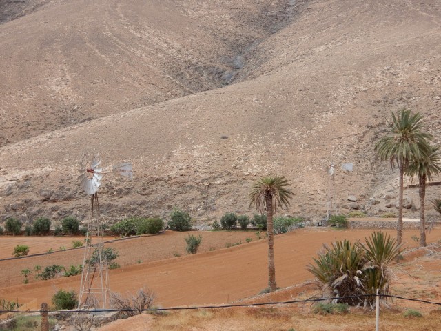 31. 5. 2024 - foto