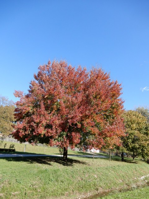 10. 10. 2024 - foto