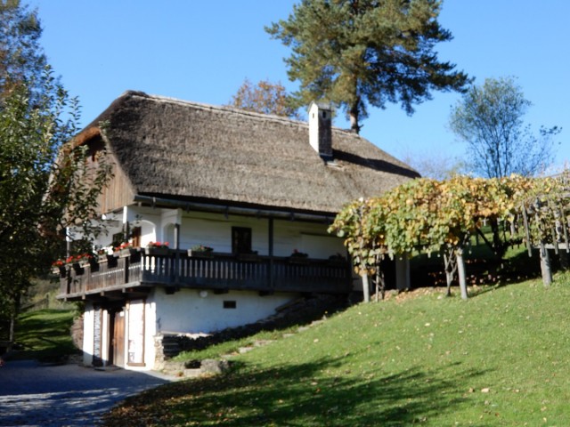10. 10. 2024 - foto