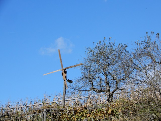 10. 10. 2024 - foto