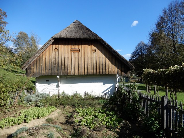 10. 10. 2024 - foto