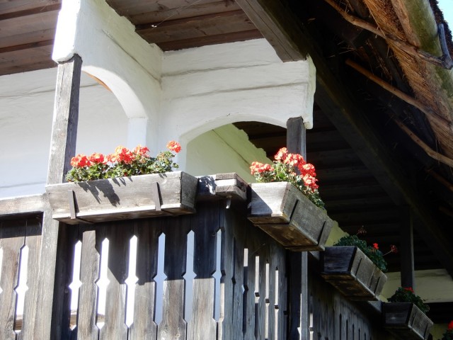 10. 10. 2024 - foto