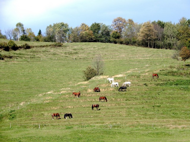 10. 10. 2024 - foto