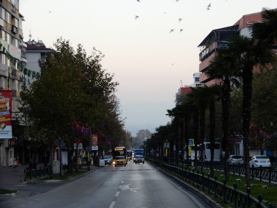 26. 10. 2024 - foto povečava