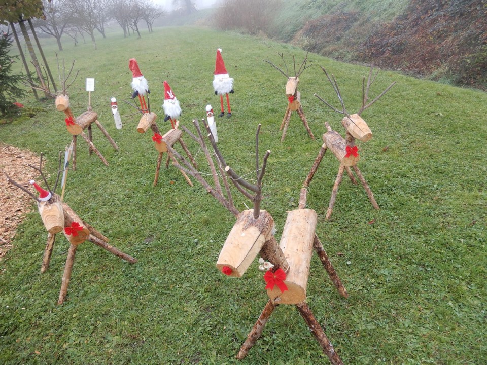 2. 12. 2024 - foto povečava